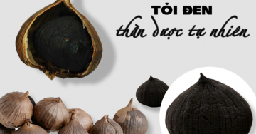Bài thuốc chữa bệnh hay từ tỏi đen
