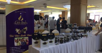 Thần dược tỏi đen – giống được bán ở đâu ,làm sao để mua được ?