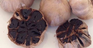 Tỏi đen làm say đắm lòng người dân Úc!