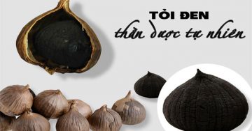 Lý do tỏi đen Việt Nam có chất lượng cao hơn tỏi đen ngoại nhập