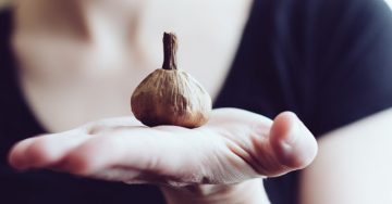 Tỏi Đen và công dụng đối với sức khỏe chúng ta