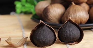 TỎI ĐEN CHỐNG LẠI TẾ BÀO UNG THƯ DẠ DÀY