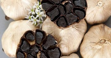 TỎI ĐEN CÓ TÁC DỤNG PHÒNG CHỐNG VÀ ĐIỀU TRỊ BỆNH TIỂU ĐƯỜNG RẤT TỐT