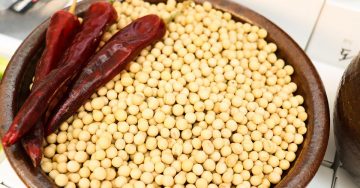 Chuyển giao quy trình công nghệ sản xuất đậu nành rang sấy